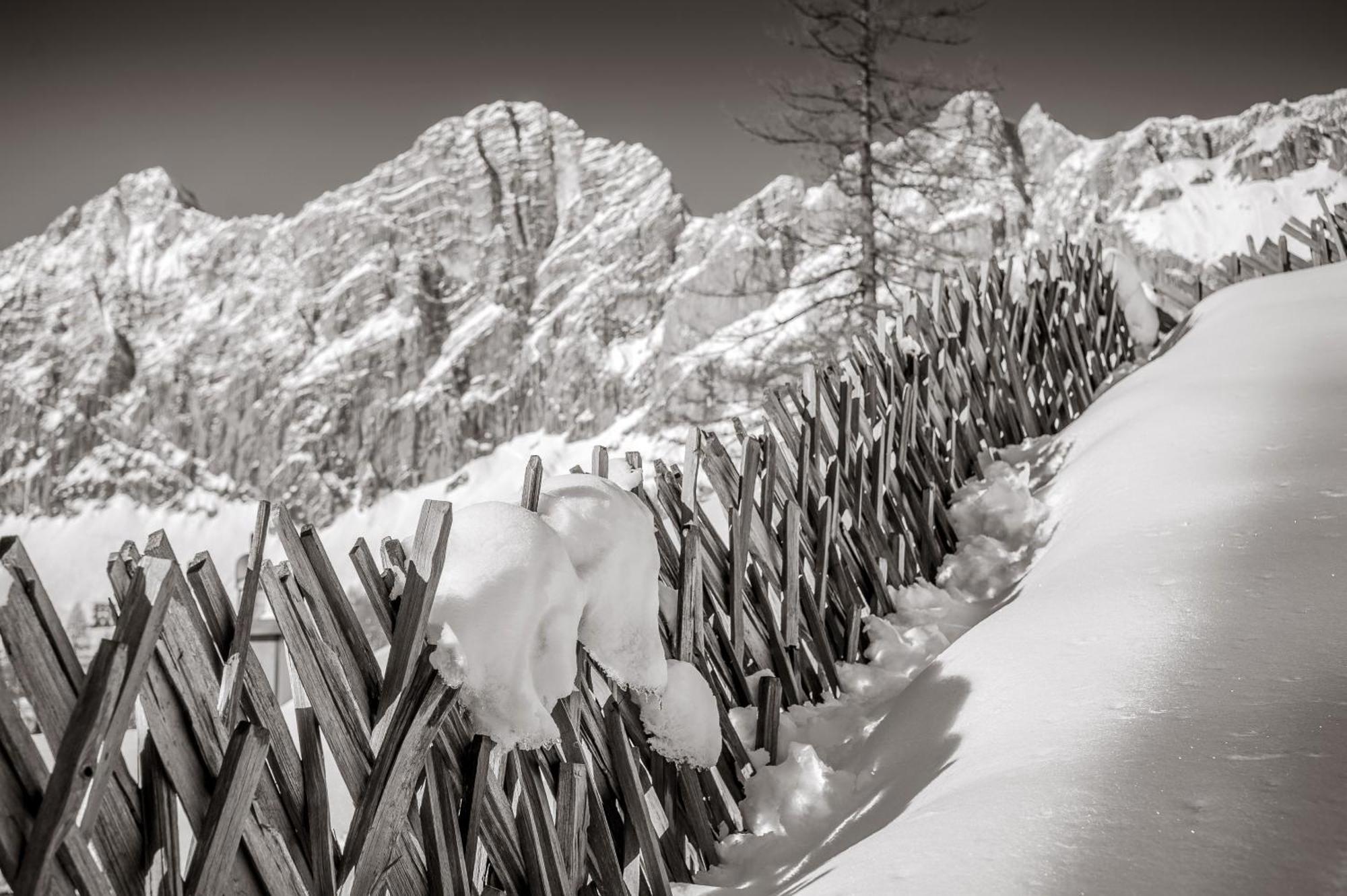 Naturchalet Hoeflehner - Heimgefuehl & Ruhelage An Loipe & Wanderweg รัมเซา อัม ดาคชไตน์ ภายนอก รูปภาพ