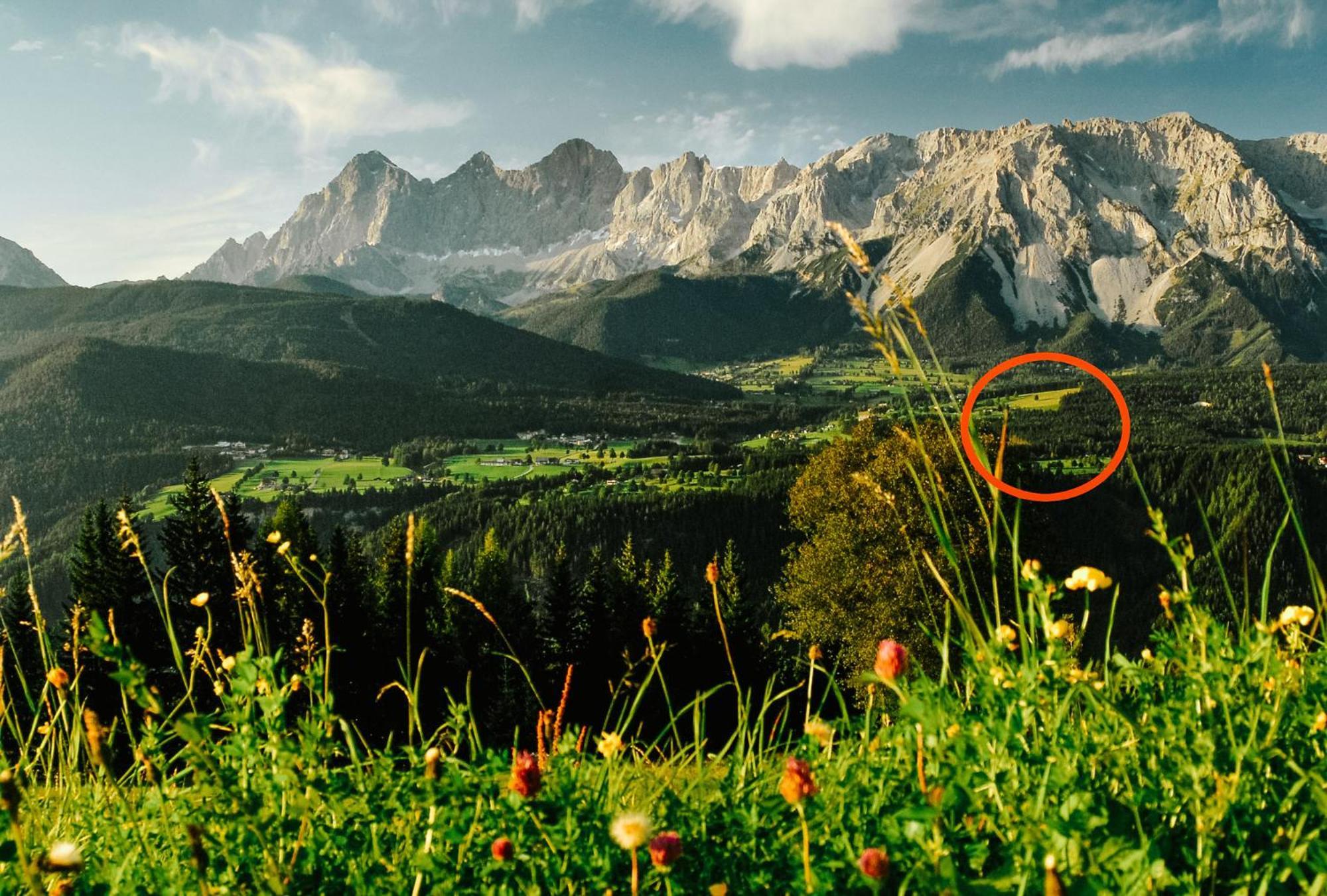 Naturchalet Hoeflehner - Heimgefuehl & Ruhelage An Loipe & Wanderweg รัมเซา อัม ดาคชไตน์ ภายนอก รูปภาพ