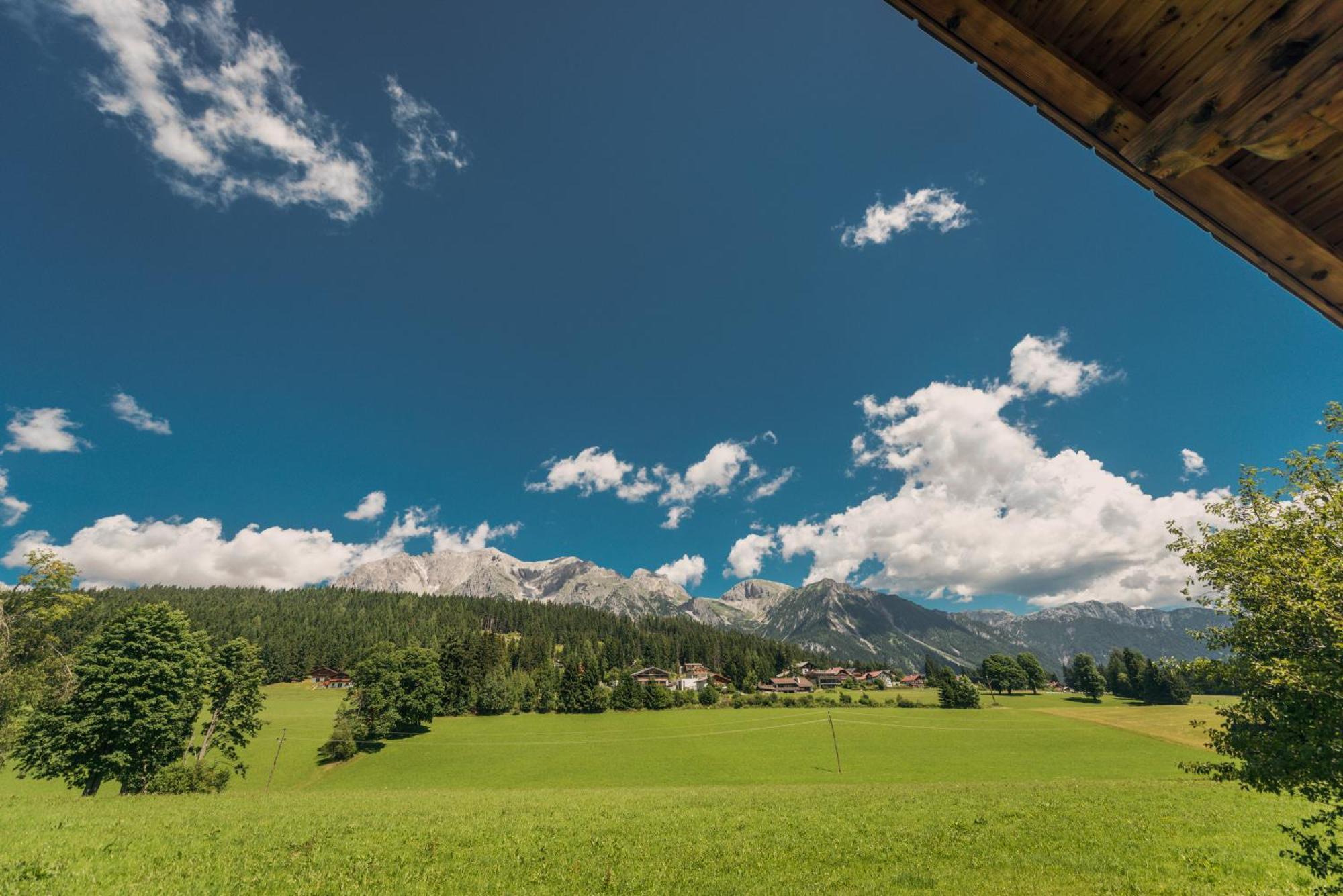Naturchalet Hoeflehner - Heimgefuehl & Ruhelage An Loipe & Wanderweg รัมเซา อัม ดาคชไตน์ ภายนอก รูปภาพ